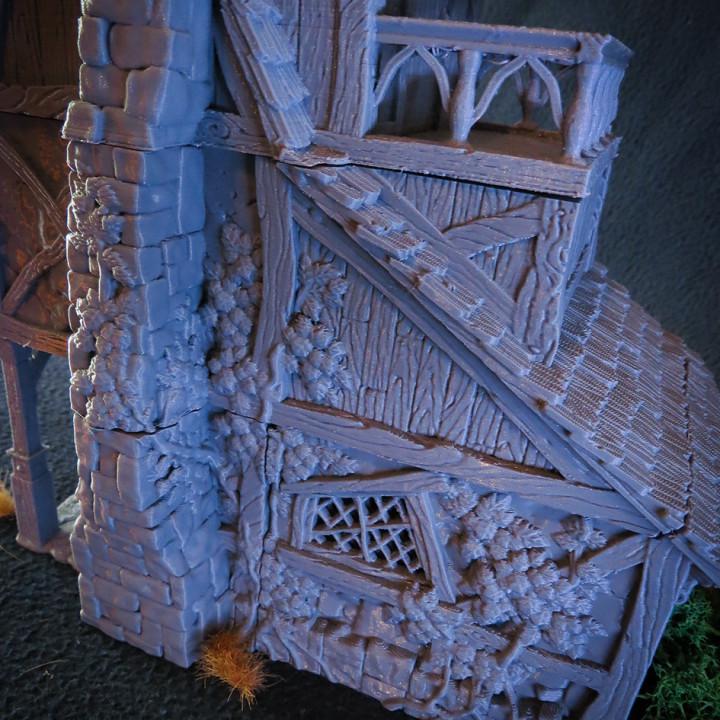 Décors - Maison du guérisseur